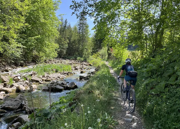 Sonne - Self Check-in Отель Schwarzenburg