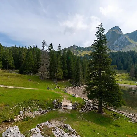 Sonne - Self Check-in 3*