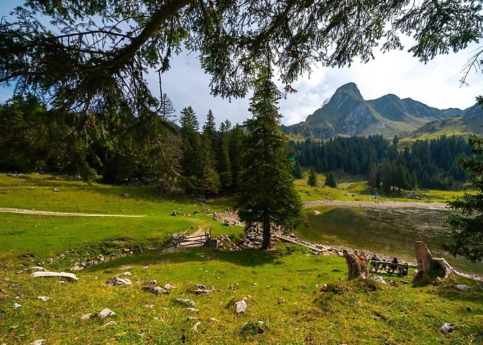 Sonne - Self Check-in 3*