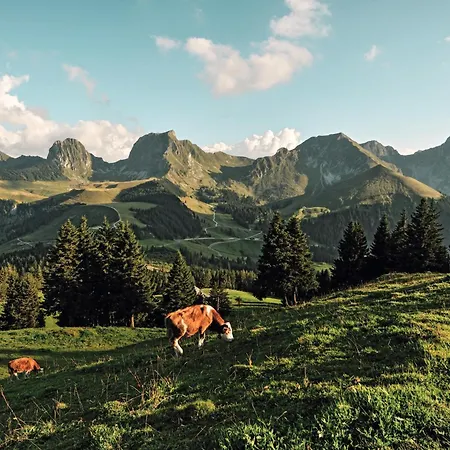 Sonne - Self Check-in Szálloda