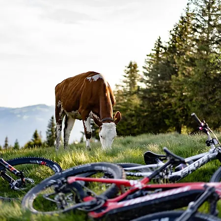 Szálloda Sonne - Self Check-in