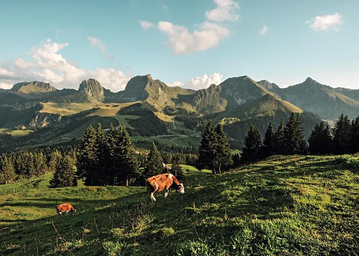 Sonne - Self Check-in מלון