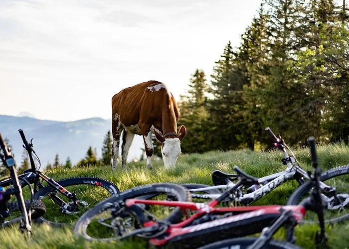 מלון Sonne - Self Check-in